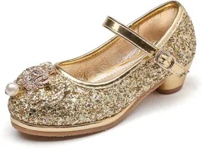 Flower Girls Dress Princess Shoes Cosplay Glitter Wedding Party Bridesmaids Mary Jane Low Heeled