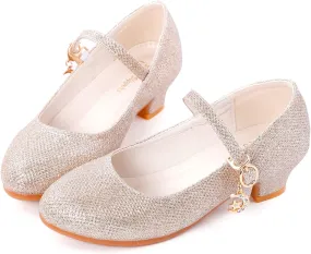 Girls Low Heel Princess Mary Jane Party Dress Shoes - Princess Ballerina Flats for School Party Wedding, Back to School Shoes for Gilrs (Little Kid/Big Kids)